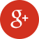 Google +